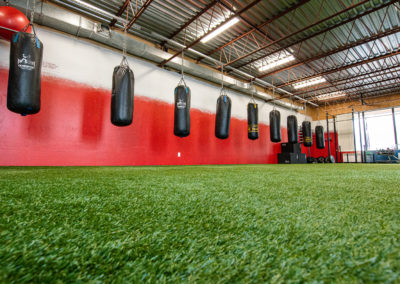 Salle d'entraînement spacieuse avec sol en gazon synthétique, prête pour le fitness.